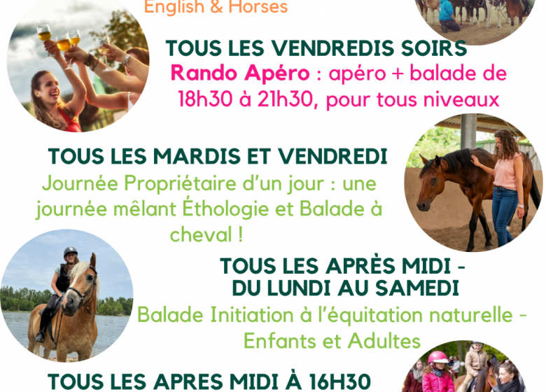 Baptême poney découverte pour les tout-petits – Touraine Cheval