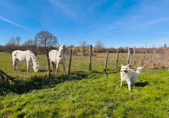 Écoparc des Chènevières