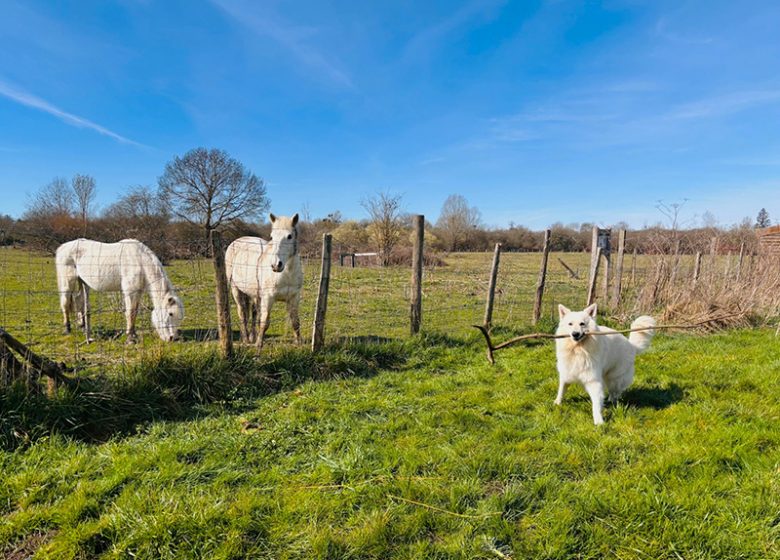 Écoparc des Chènevières