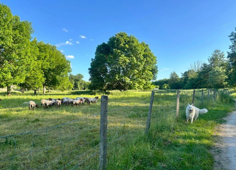 Écoparc des Chènevières