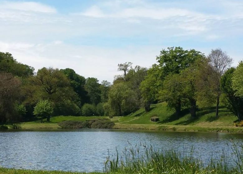 Etang André Grymonprez – pêche