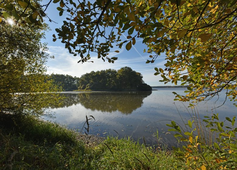 L&rsquo;étang des Landes