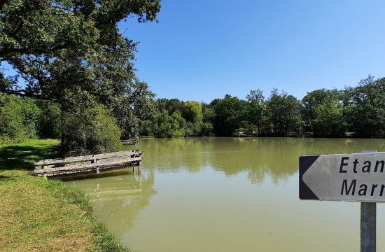 Etang communal de l’Age (dit « des Marnières »)