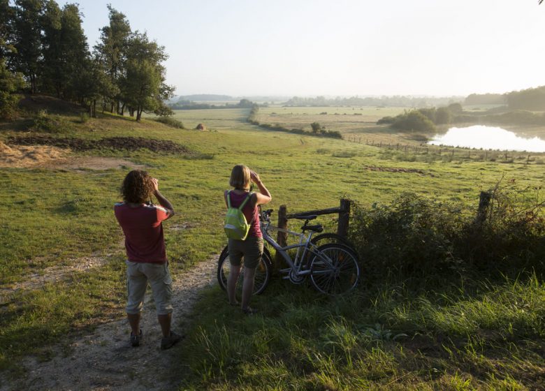 la Cyclo Bohème – Antenne Buzançais . Les étangs de la Brenne