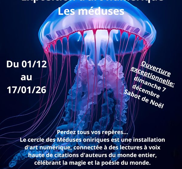 Exposition d’art numérique : Les méduses