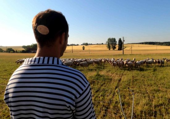 Après-midi et degustation à la Ferme Brebis du Lochois