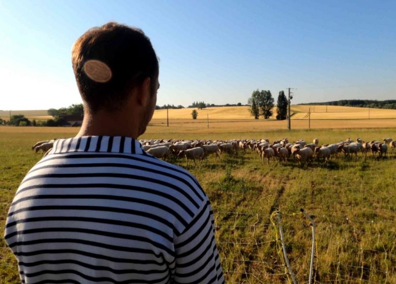 Après-midi et degustation à la Ferme Brebis du Lochois