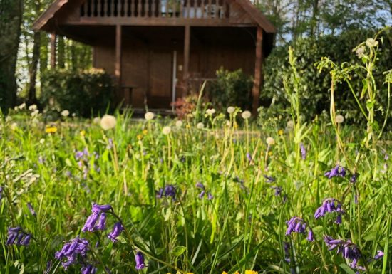 Domaine des Volets Jaunes