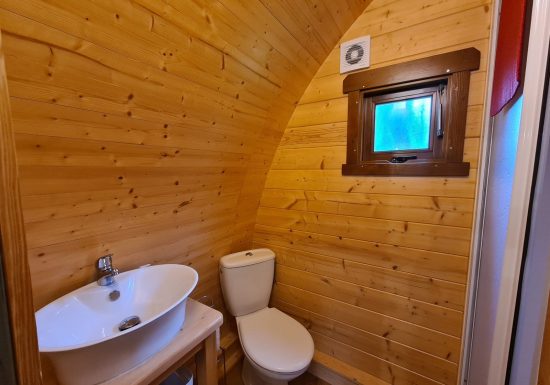 Cabane forestière 1