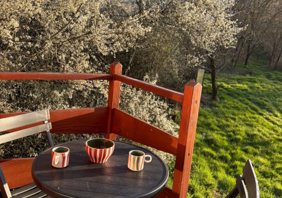 L&rsquo;insolite eco-chic