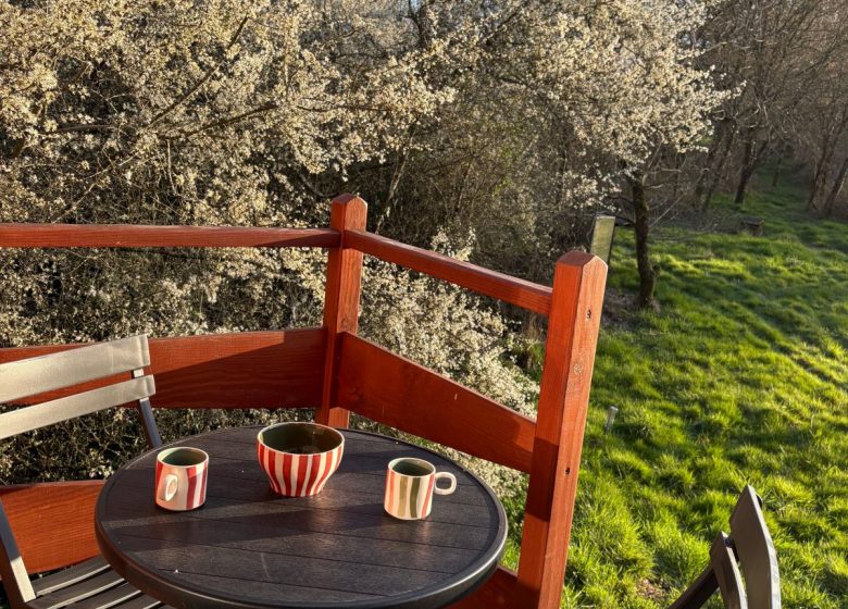 L&rsquo;insolite eco-chic