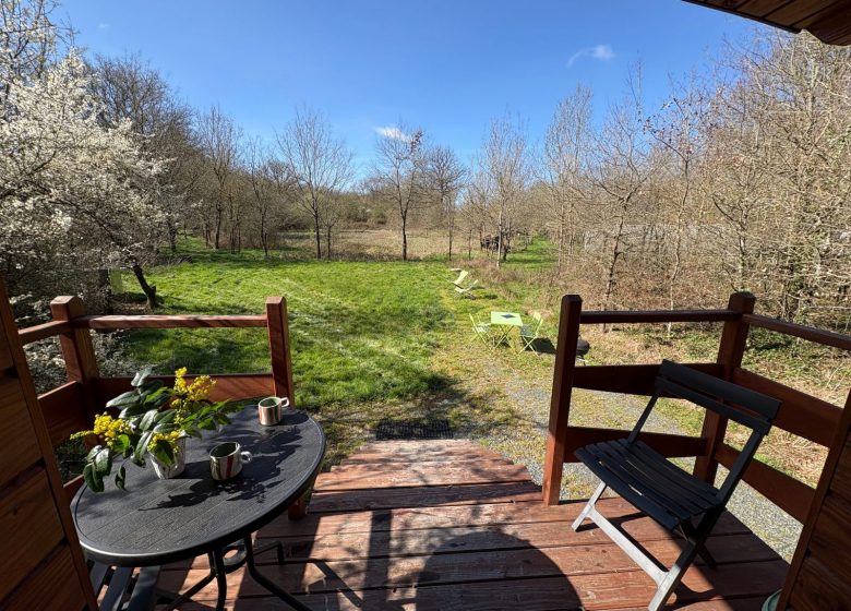 L&rsquo;insolite eco-chic