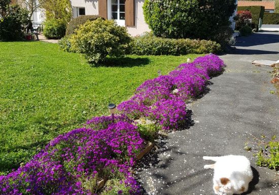 Chambres d&rsquo;hôtes Anne-Marie Davaillon