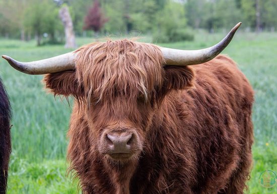 Écoparc des Chènevières