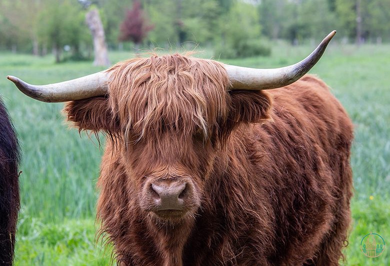 Écoparc des Chènevières