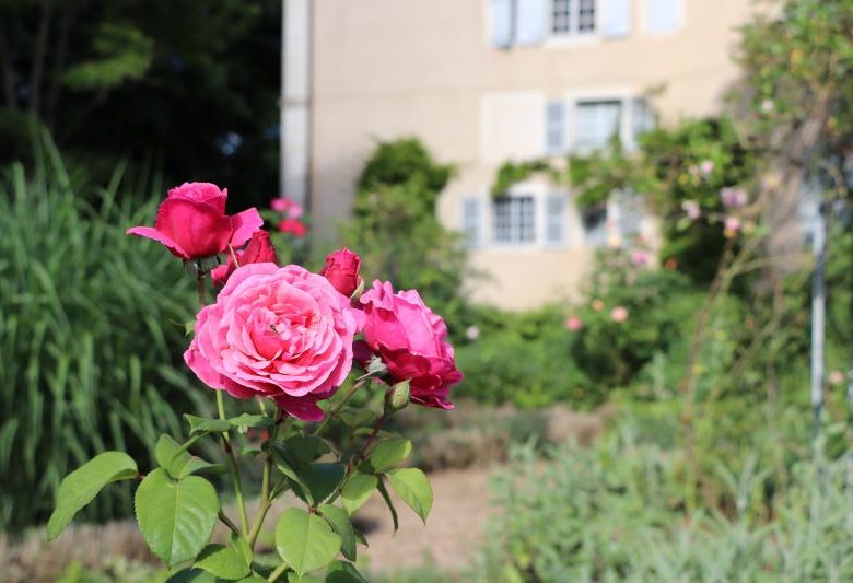 Maison de George Sand et parc