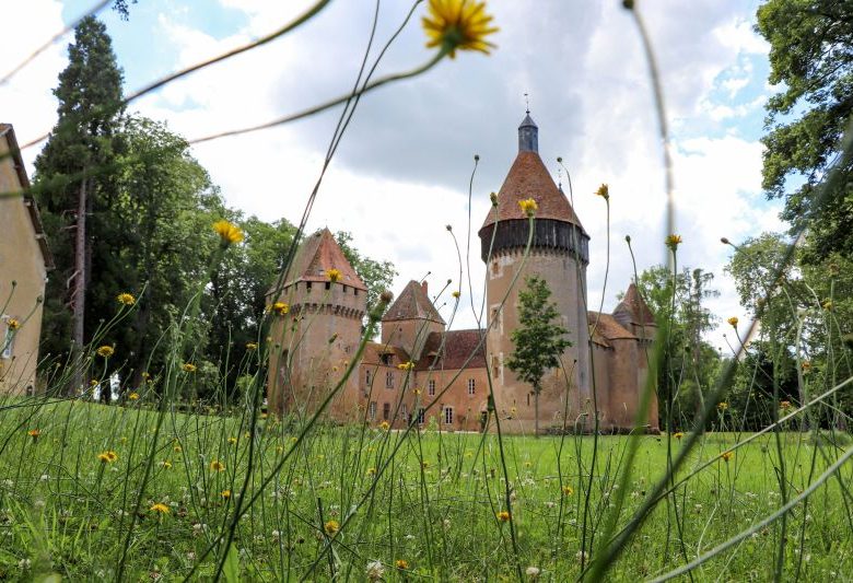 Le Château de La Motte-Feuilly