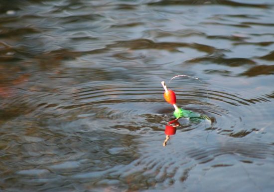 Pêche au plan d’eau de Neuvy-Saint-Sépulchre