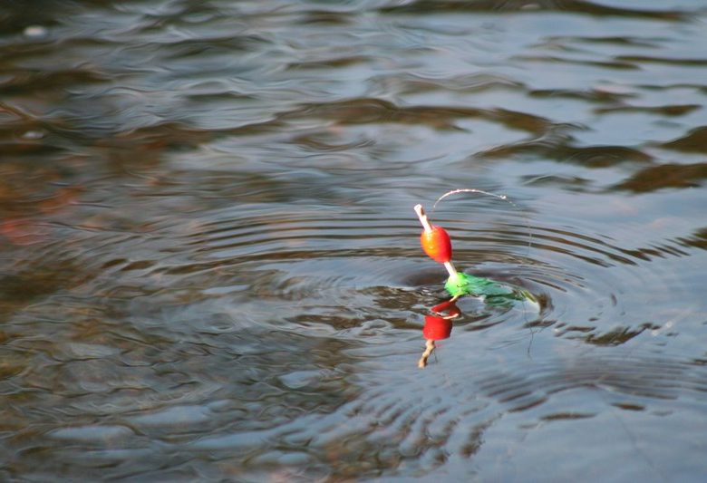 Pêche au plan d’eau de Neuvy-Saint-Sépulchre