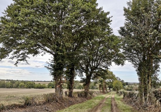 Circuit pédestre n° 29 « Sur le chemin de St Jacques de Compostelle »