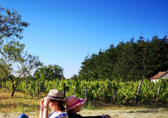 Les jardins de Beauregard