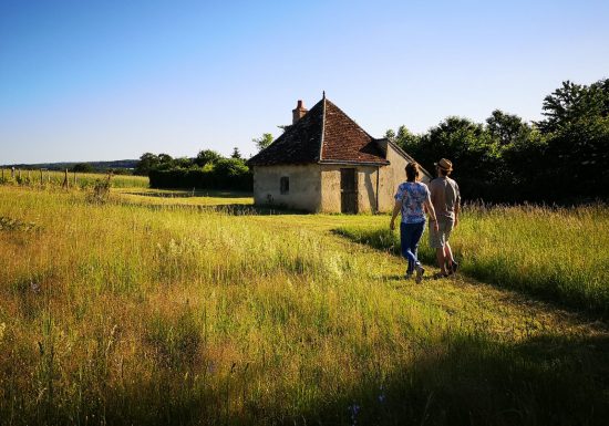 Les jardins de Beauregard