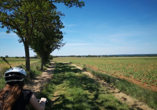Circuit VTT n°4 : Sur les pas de George Sand, de la Châtre à Nohant