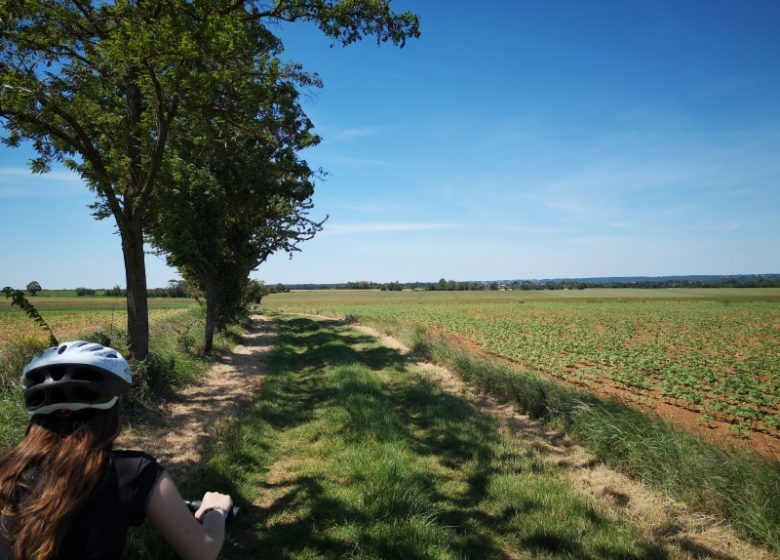 Circuit VTT n°4 : Sur les pas de George Sand, de la Châtre à Nohant
