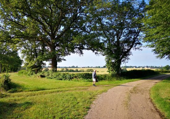 Circuit pédestre n° 83 « Sentier de la Croisée des Chemins »