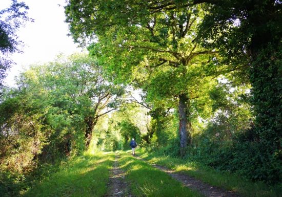 Circuit pédestre n° 81 « Sentier Ô fil de l’eau »