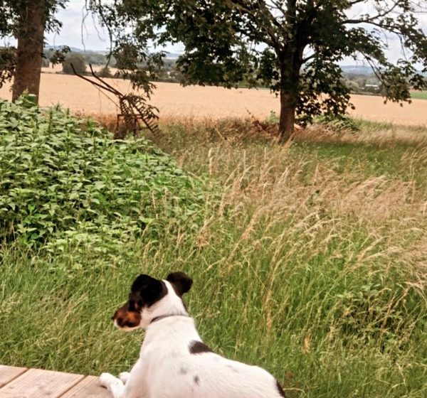 Domaine de Chaillauroy, piscine intérieure chauffée