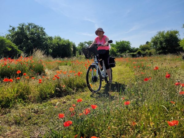 La Vellilocienne – Promenade à vélo