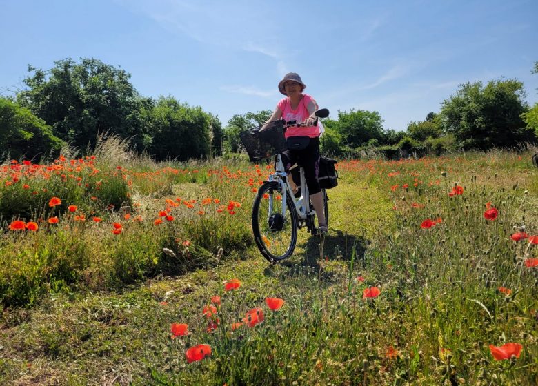 La Vellilocienne – Promenade à vélo