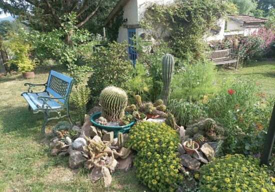 Mini camping le petit patural