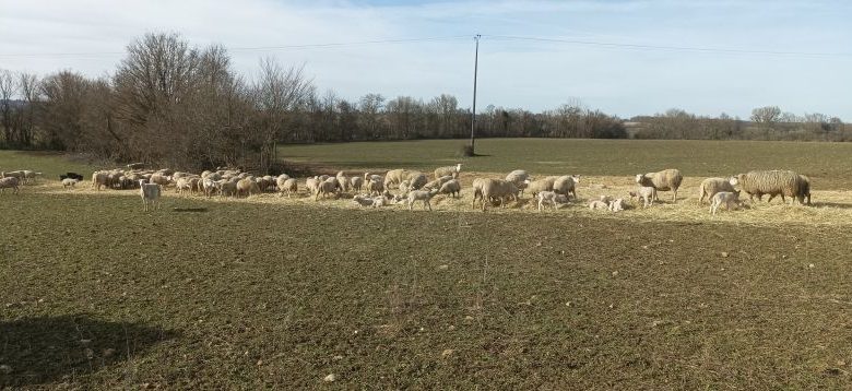 Centre d&rsquo;accueil camping/gîtes Ferme d&rsquo;Hélice