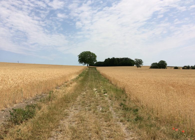 Randonnée littéraire : Sur les pas de Félix – 15 km