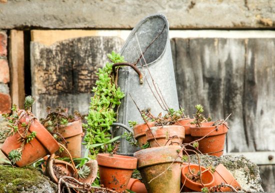 Mini camping le petit patural