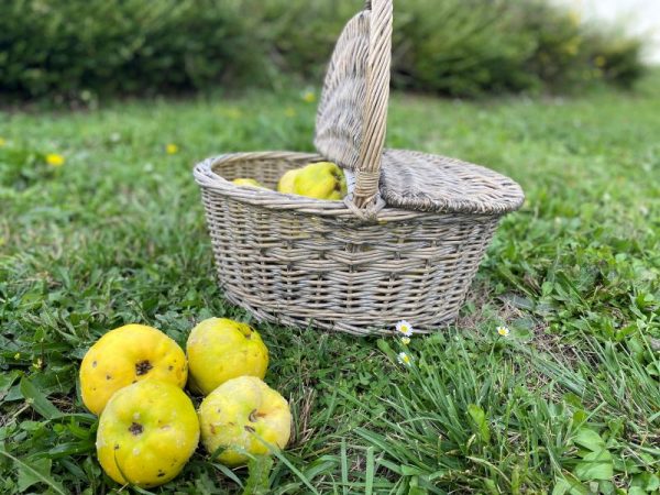 Marché du Coing gourmand
