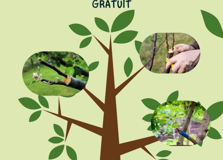 Initiation au greffage