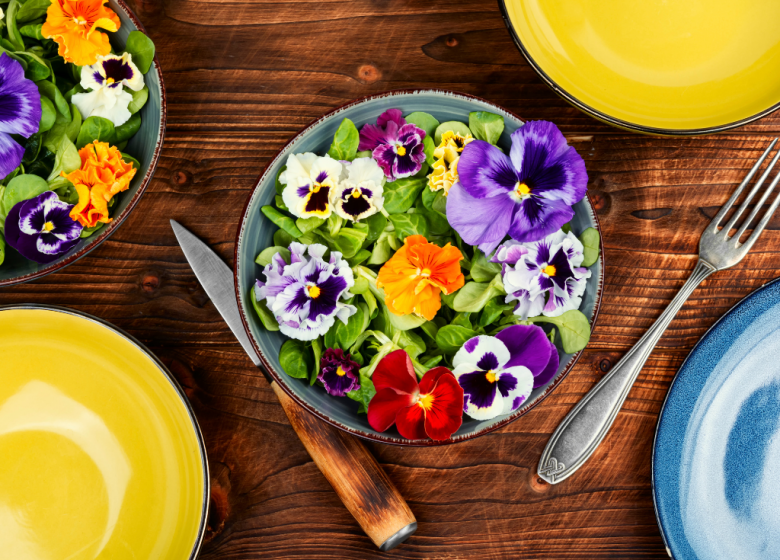 Les fleurs et les plantes sauvages comestibles