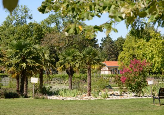 La vallée d’Ebbes