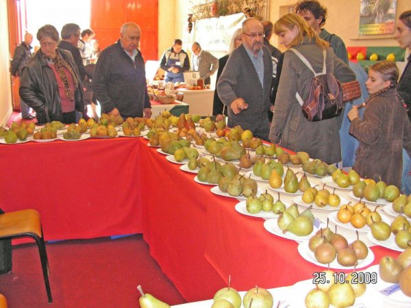 45e Journées de la Pomme de Pays et des Fruits de pays