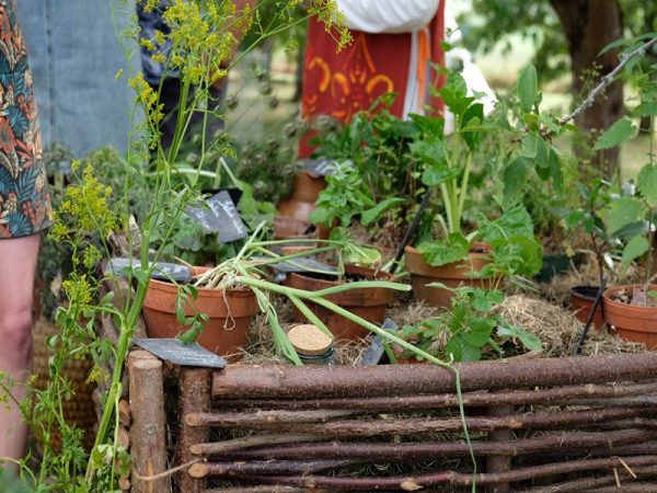 Déambulation Gourmande autour des jeunes pousses