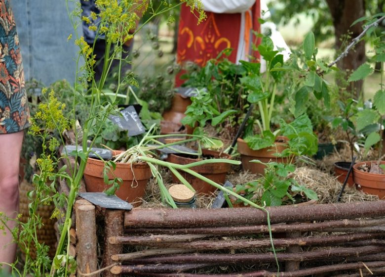 Déambulation Gourmande autour des jeunes pousses