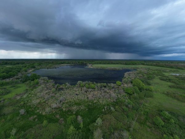 Visite à l&rsquo;étang de Pisseloup