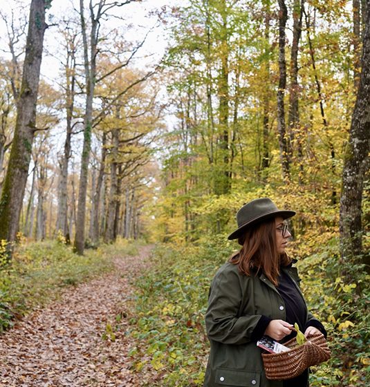 Forêt domaniale de Châteauroux