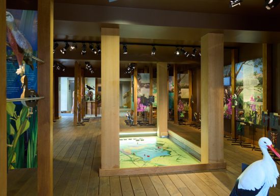 Maison de la Réserve Naturelle de l&rsquo;étang des Landes