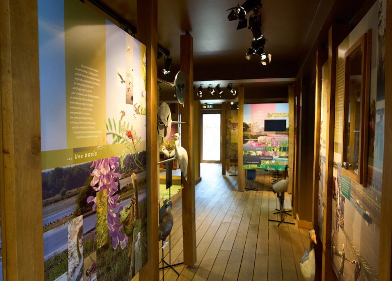 Maison de la Réserve Naturelle de l&rsquo;étang des Landes