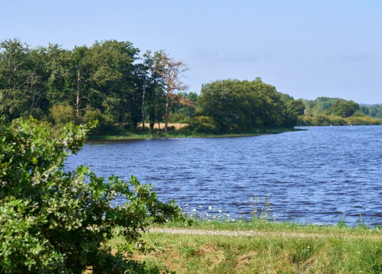 Randonnée découverte