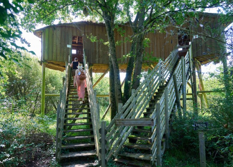 Harmonie entre sons et nature